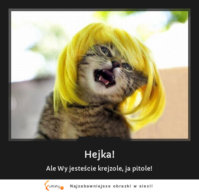 Hejka