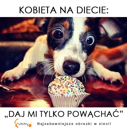 Kobieta i dieta ;)