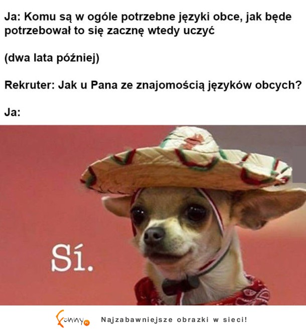 Jak u pana ze znajomością języków obcych?