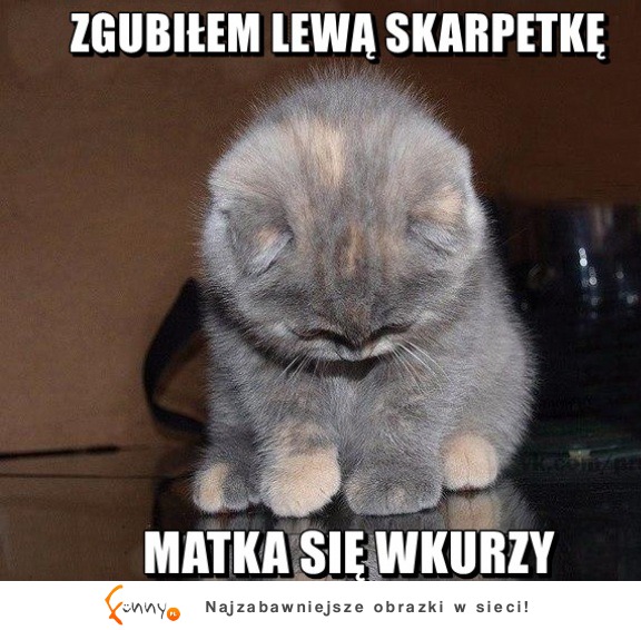 Zgubił skarpetkę