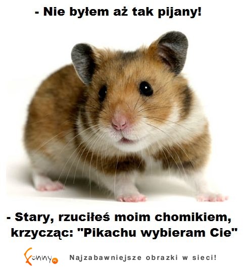 - Nie bylem aż tak pijany! - Stary rzuciłeś moich chomikiem krzycząc...