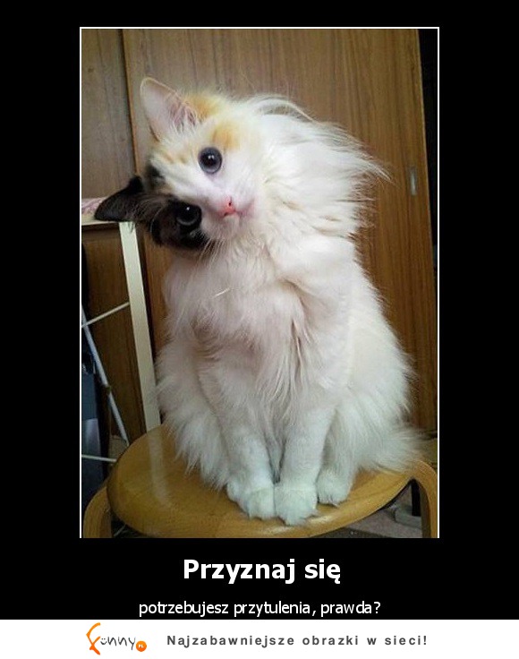 Przyznaj się