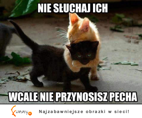 Nie słuchaj ich