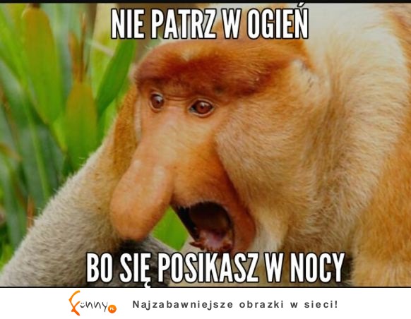 Nie patrz