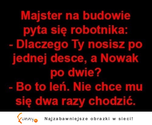 majster