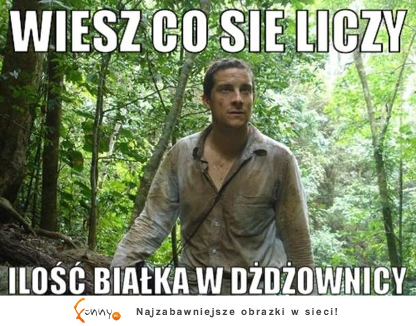 Ilość białka