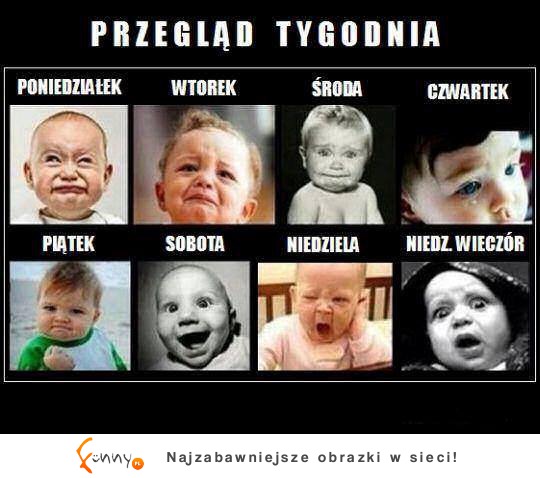 Przegląd tygodnia