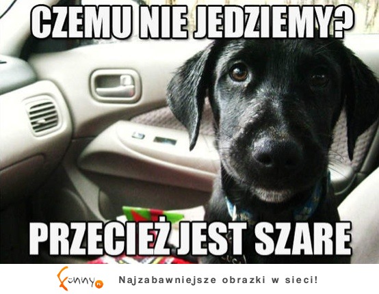 Przecież jest szare