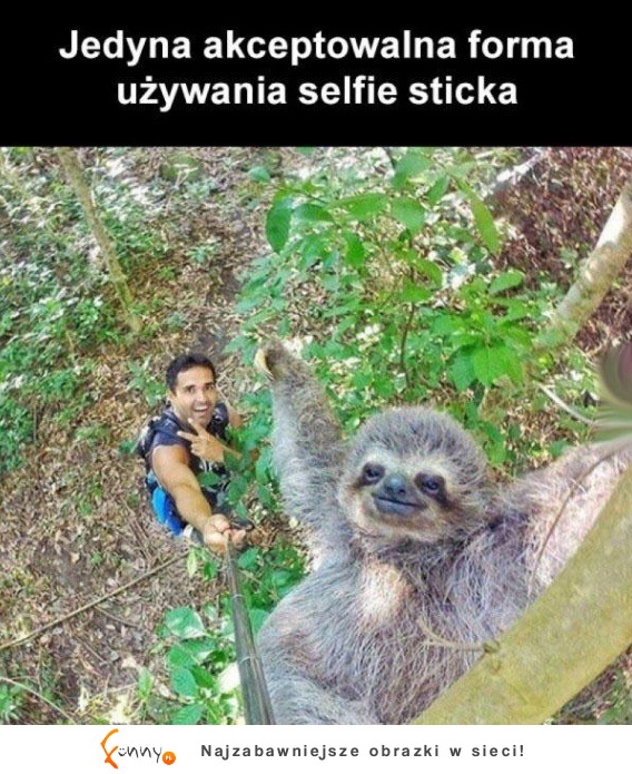 selfiestick