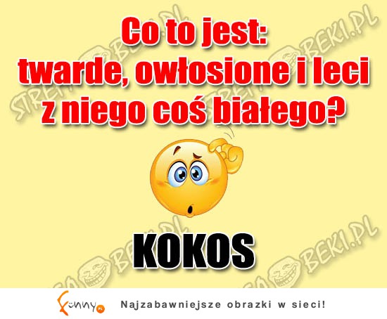 Wiesz już co TO takiego? BEKA! ;)