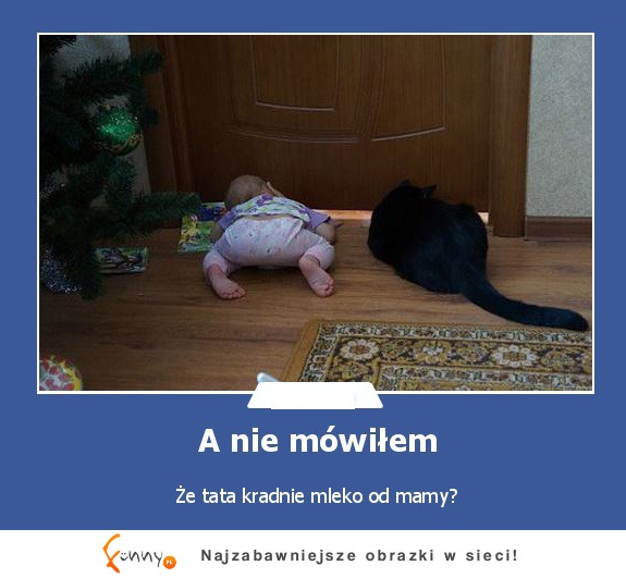 A nie mówiłem