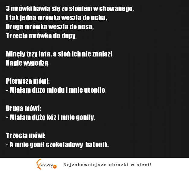 3 mrówki bawią się ze słoniem w chowanego :)