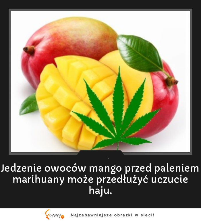 Jedzenie owoców mango przed paleniem marihuany może...