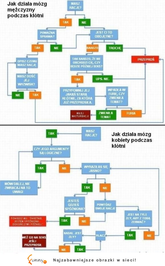 Czym różni się mózg kobiety od mężczyzny podczas kłótni?