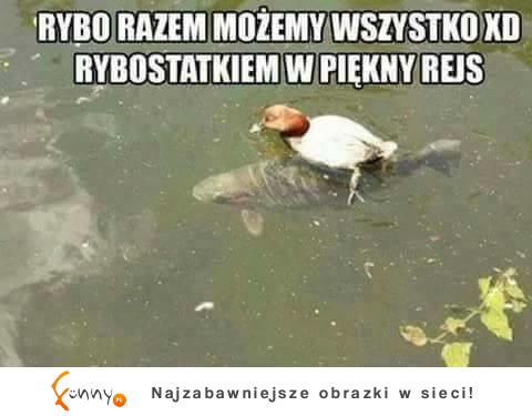 razem możemy wszystko