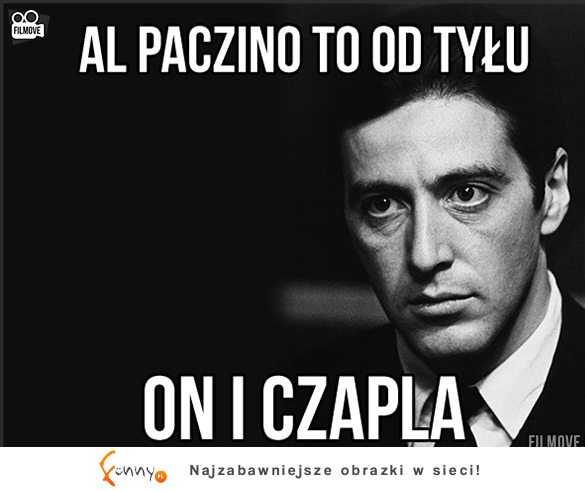 On i czapla