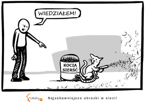 Wiedziałem