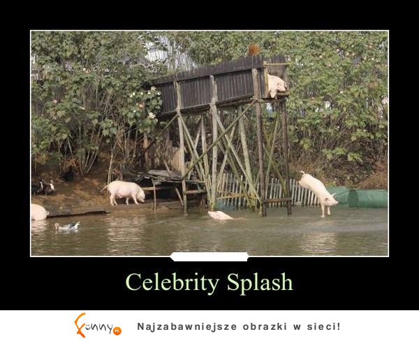 Celebrity Splash