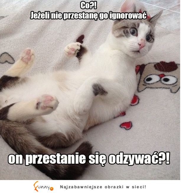 Kobieca logika.