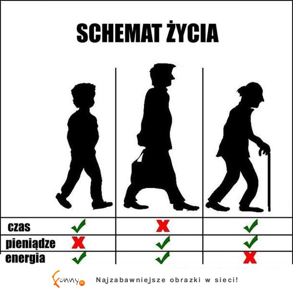 Schemat życia