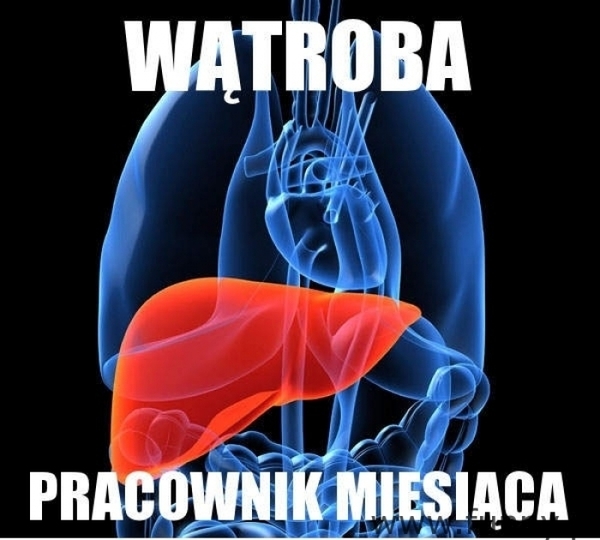 pracownik miesiaca