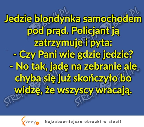 BLONDYNKA jak zawsze... HAHA BEKA!