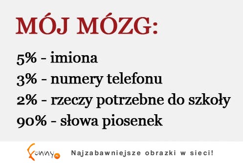 Mój mózg :D