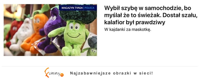 Polska to stan umysłu