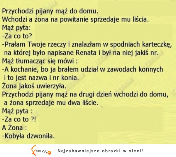 Mąż wybrnął, ale tylko na chwilę... HAHA!