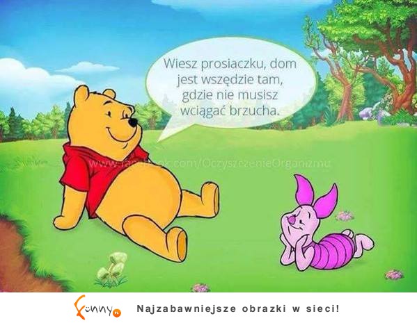 Wiesz prosiaczku...