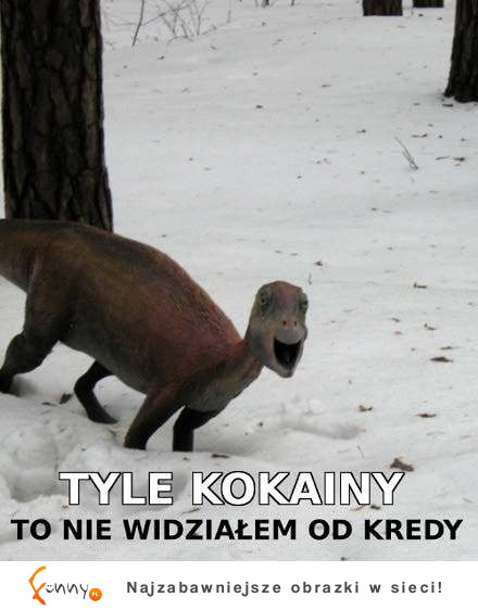 Tyle kokainy to nie widziałem od...