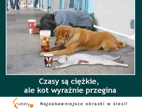 CO TEN KOT