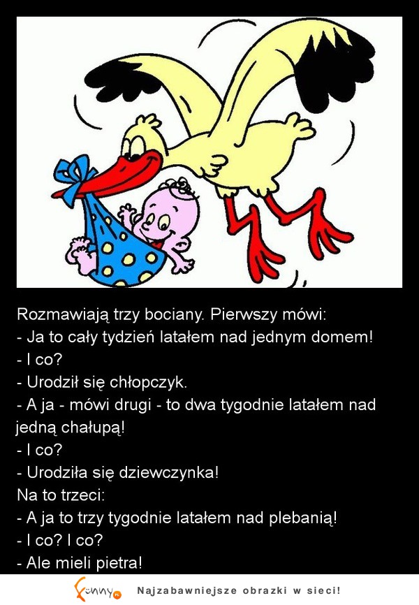 Bociany roznoszą dzieci! ZOBACZ co było nad plebanią! xD