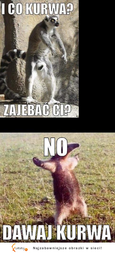 Dawaj... Zobacz tych cwaniaczków :P