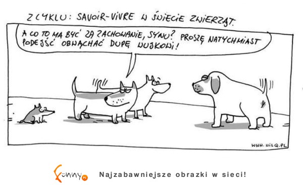 Savoir-vivre w świecie zwierząt :D Jak się witają psy?