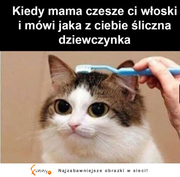 oczywiście :)