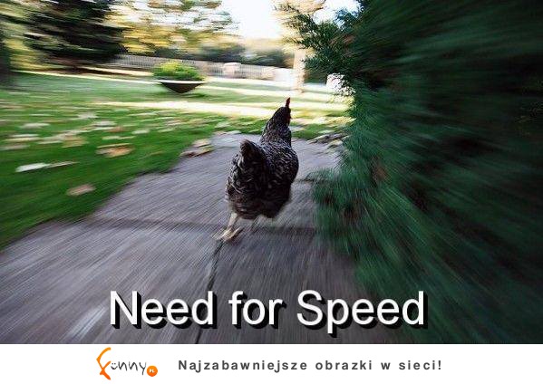 Kurak speed