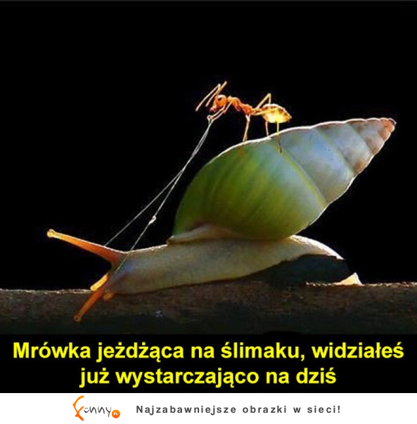 Widziałeś juz wystarczająco na dziś