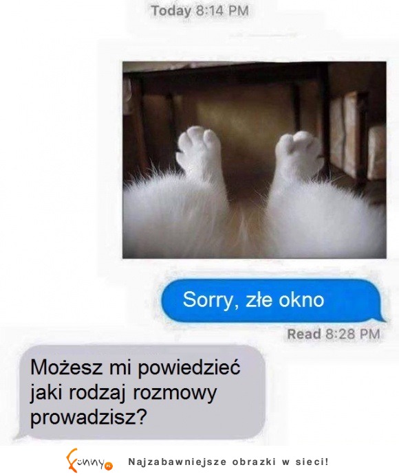 Hahah gdyby koty robiły sobie zdjęcia i wysyłały na fejsie XD