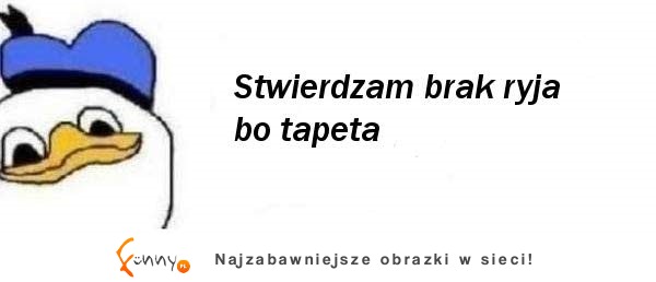 Stwierdzam brak ryja, bo ...