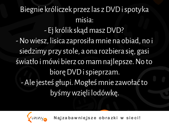 Biegnie króliczek przez las z DVD i spotyka misia :D