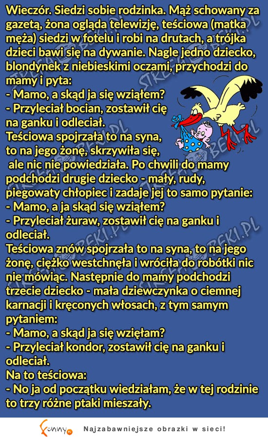 Dzieci pytaja mamy skąd sie wzięły! Komentarz teściowej najlepszy! XD