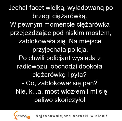 Jechał facet wielką, wyładowaną po brzegi ciężarówką. :D