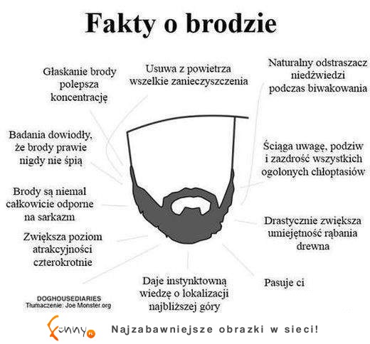 Najlepsze fakty o brodzie! ZOBCZ czy warto zapuszczać :D