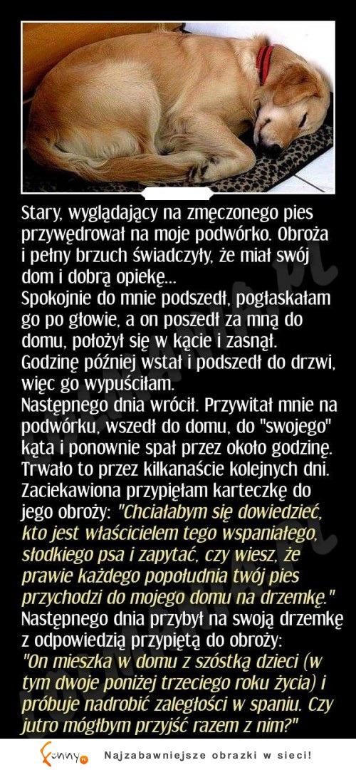 Do tego faaceta, codzinnie przychodził pies! ZOBACZ dlaczego!