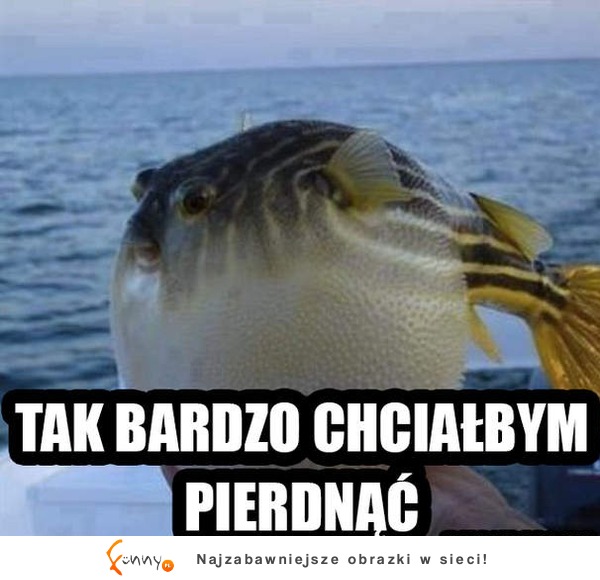 Tak bardzo chciałbym pierdnąć