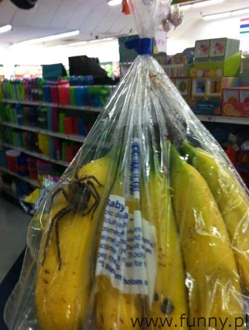 ohyda! zobacz co możesz znaleźć w bananach!