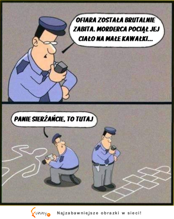 Z cyklu nasza Policja