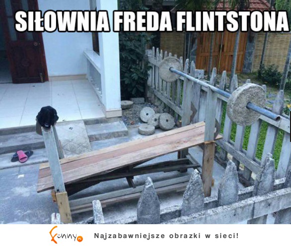 Siłownia Freda