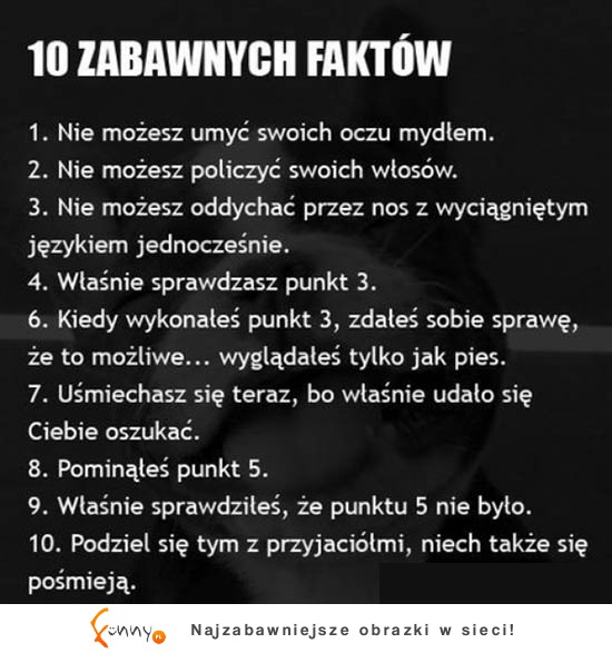 10 zabawnych faktów! 3 najlepszy!